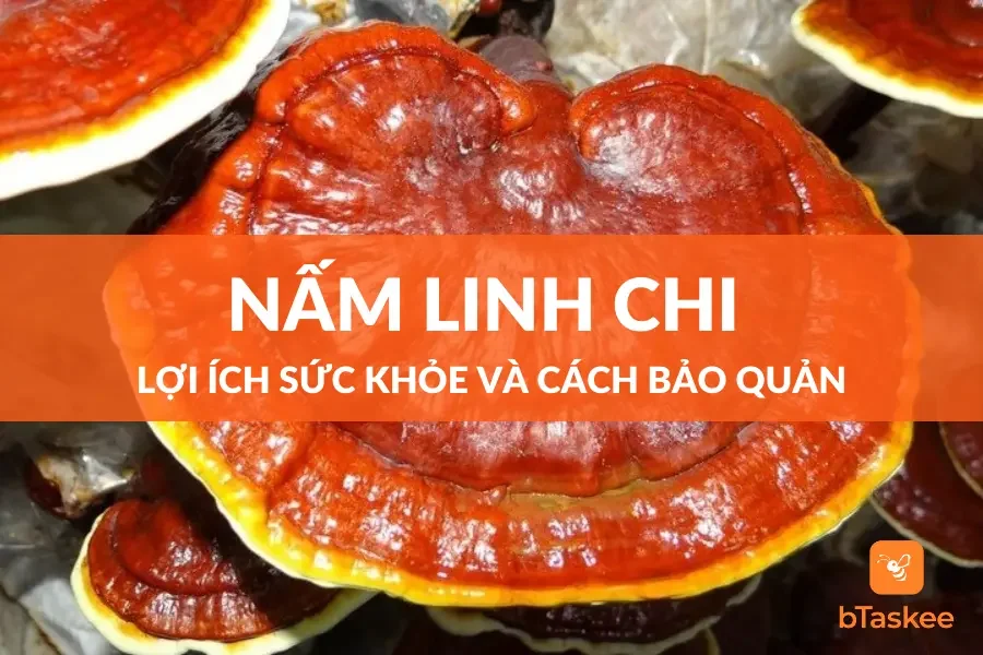 Nấm linh chi: Lợi Ích Sức Khỏe Và Cách Bảo Quản