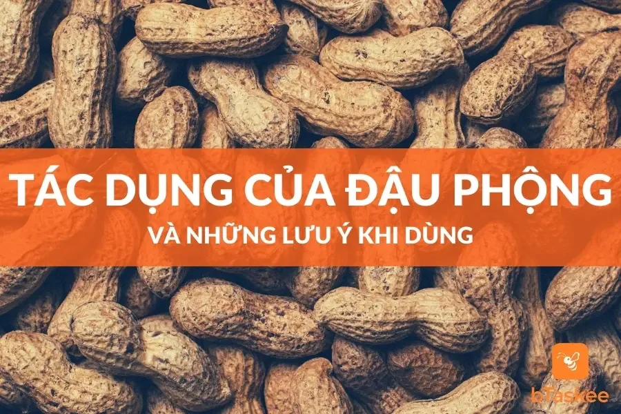 Đậu Phộng:  Công Dụng Và Những Lưu Ý Khi Dùng