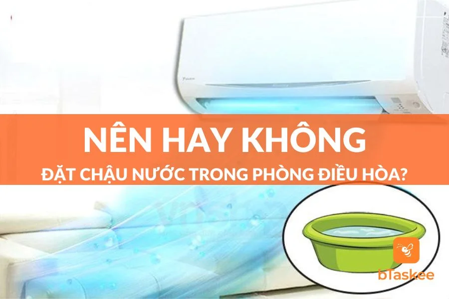 Để Chậu Nước Trong Phòng Điều Hòa: Có Nên Hay Không?