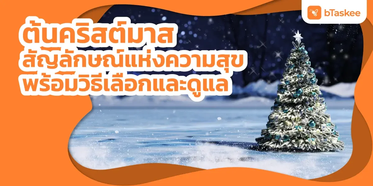 ต้นคริสต์มาส สัญลักษณ์แห่งความสุข พร้อมวิธีเลือกและดูแล