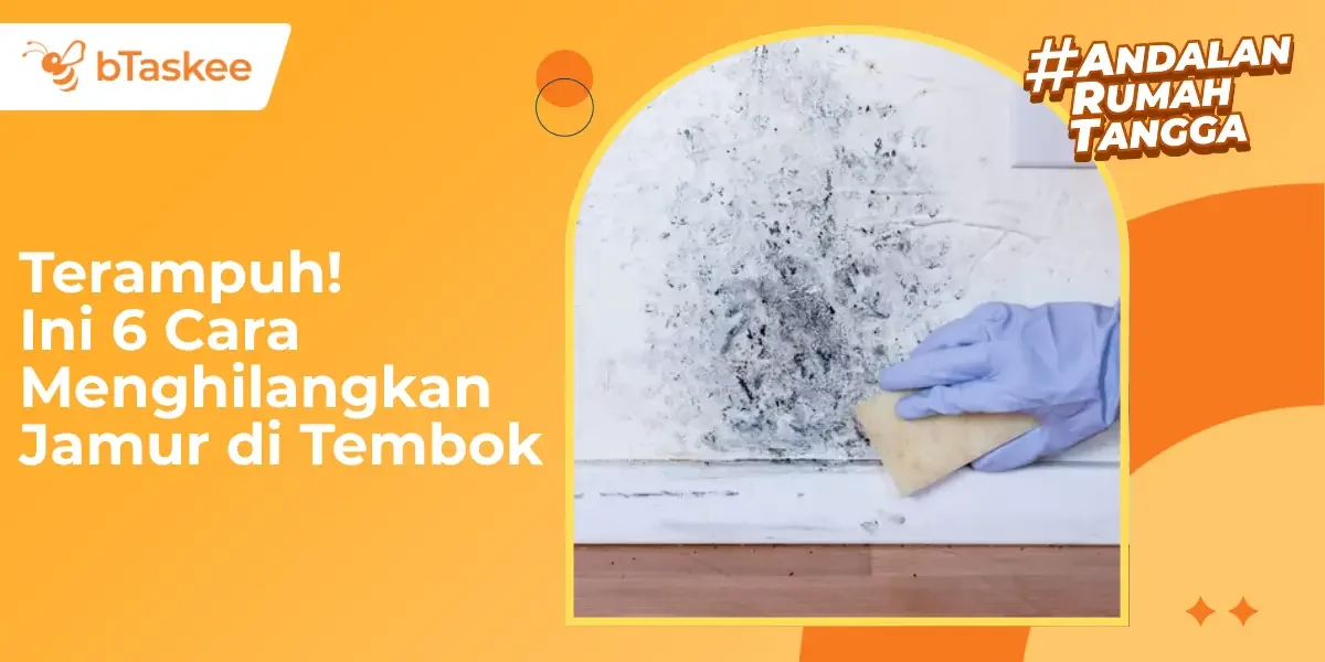 Terampuh! Ini 6 Cara Menghilangkan Jamur di Tembok Dinding