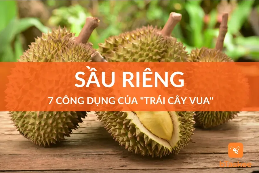 Sầu Riêng: Giải Mã Bí Ẩn Về Mùi Và Lợi Ích Tốt Cho Sức Khỏe