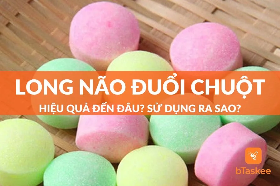 Long Não Đuổi Chuột: Hiệu Quả Đến Đâu? Sử Dụng Ra Sao?