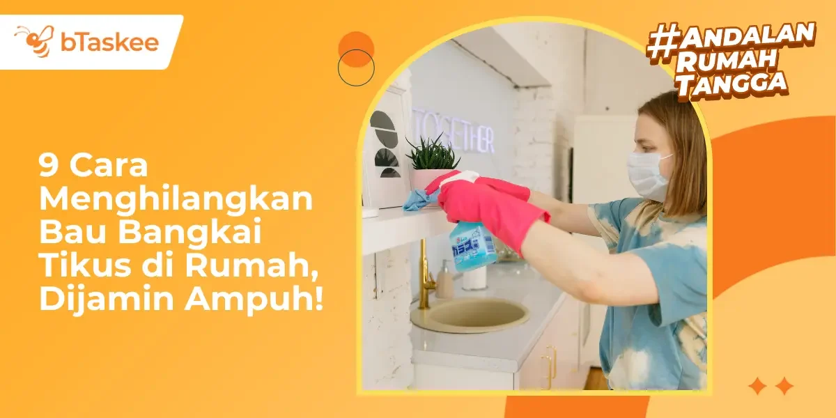 9 Cara Menghilangkan Bau Bangkai Tikus di Rumah, Dijamin Ampuh!