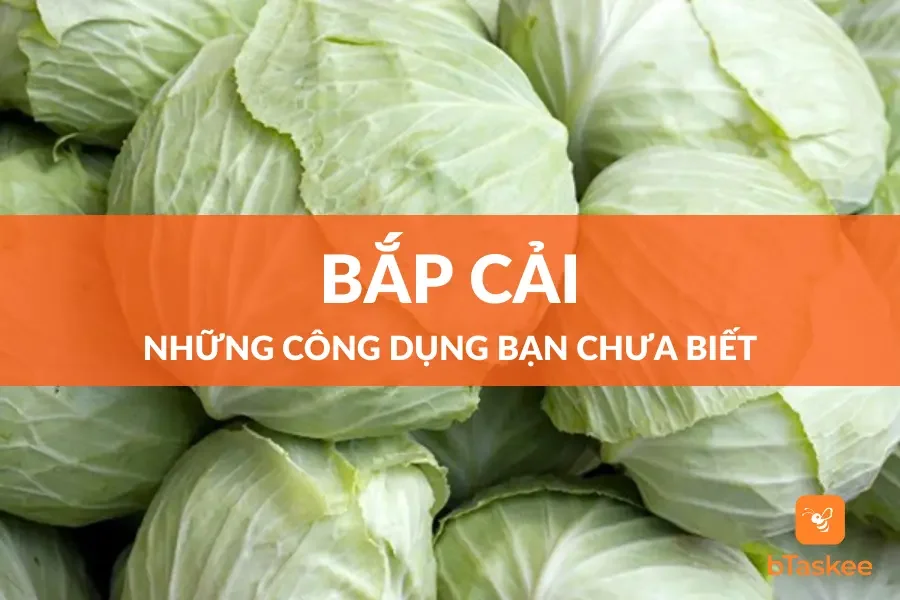 Bắp Cải: Những Công Dụng Mà Bạn Chưa Biết