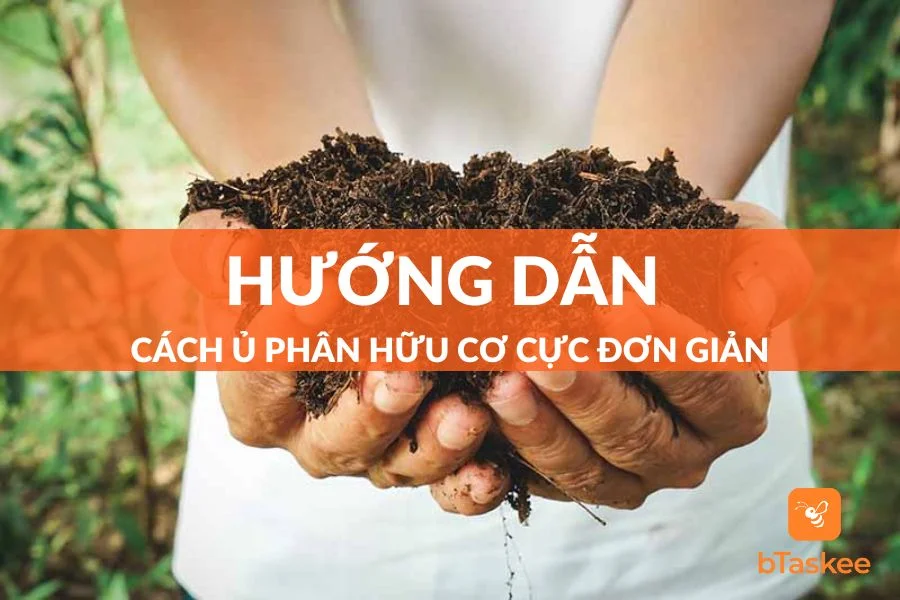 Cách Ủ Phân Hữu Cơ Đơn Giản, Hiệu Quả Ngay Tại Nhà