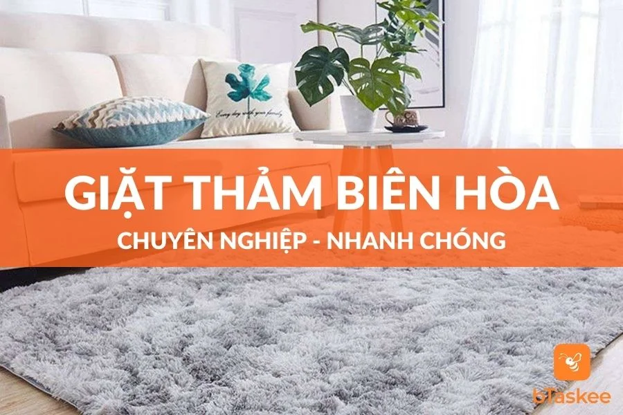 Dịch Vụ Giặt Thảm Tại Nhà Uy Tín Ở Biên Hòa Đồng Nai