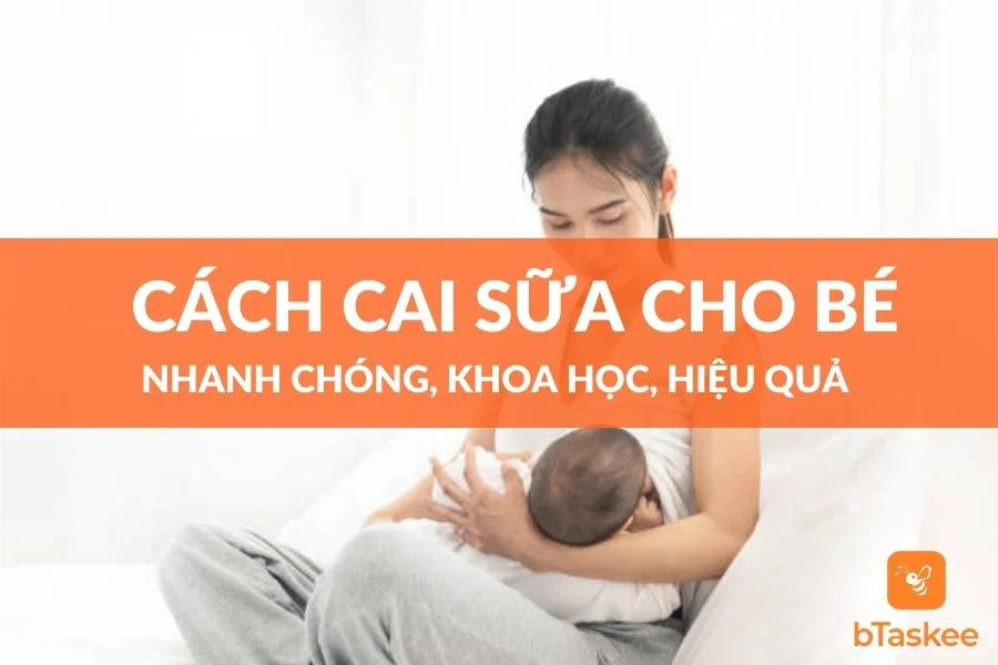 Cách Cai Sữa Cho Bé Nhanh Chóng, Khoa Học, Hiệu Quả Nhất