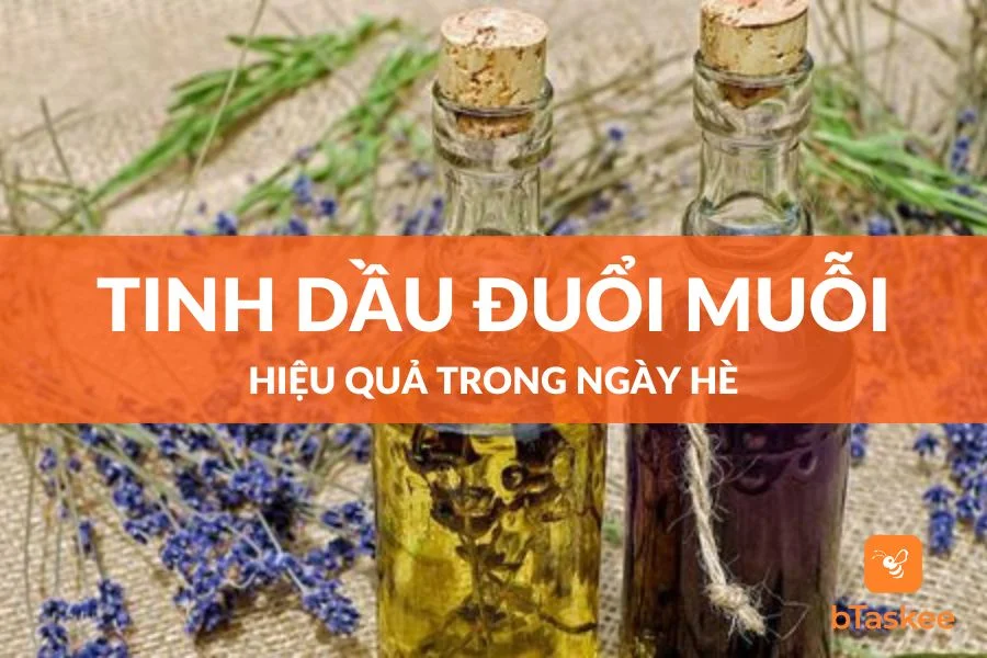 Các Loại Tinh Dầu Đuổi Muỗi Và Côn Trùng Hiệu Quả Trong Ngày Hè