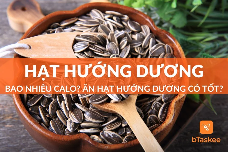 Hạt Hướng Dương Bao Nhiêu Calo? Ăn Nhiều Có Sao Không?