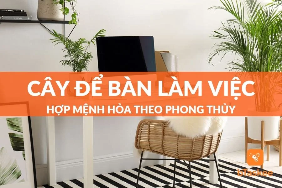 Gợi Ý 8 Loại Cây Để Bàn Làm Việc Hợp Mệnh Hỏa Nhất 2023