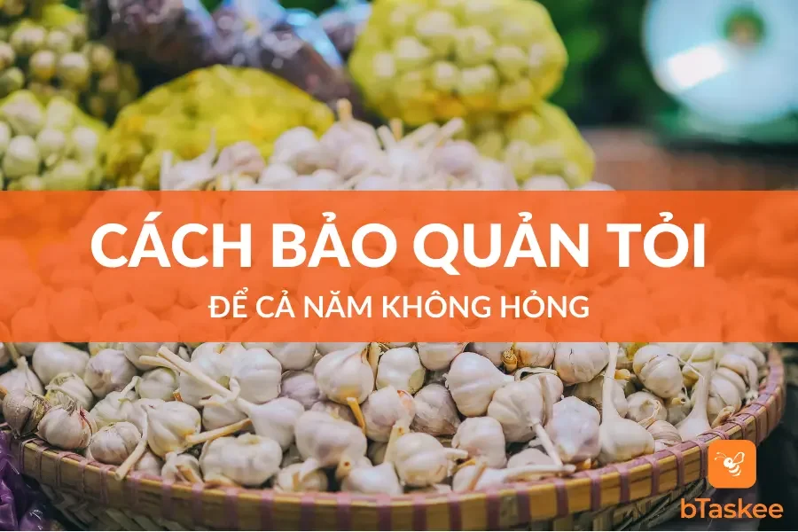 Cách Bảo Quản Tỏi Để Cả Năm Không Hỏng