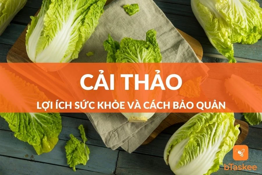 Cải Thảo: Lợi Ích Sức Khỏe Và Cách Bảo Quản