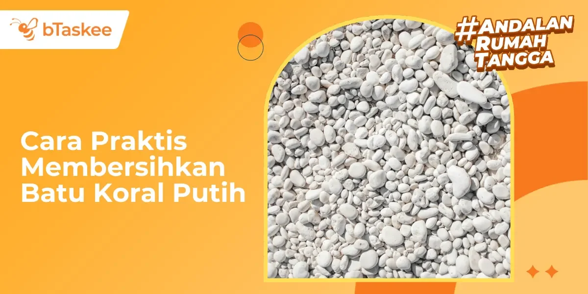 Cara Praktis Membersihkan Batu Koral Putih dari Lumut &amp; Kotoran