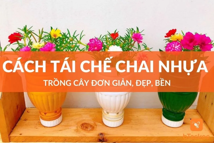 Cách Tái Chế Chai Nhựa Trồng Cây Đơn Giản, Đẹp, Bền