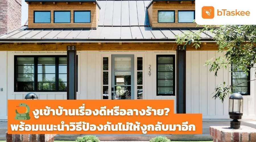 งูเข้าบ้านหมายถึงอะไร พร้อมแนะนำวิธีป้องกันไม่ให้งูกลับมาอีก