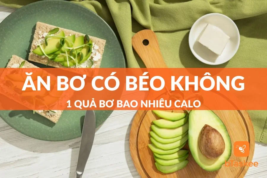 Ăn Bơ Có Béo Không? 1 Quả Bơ Có Bao Nhiêu Calo?