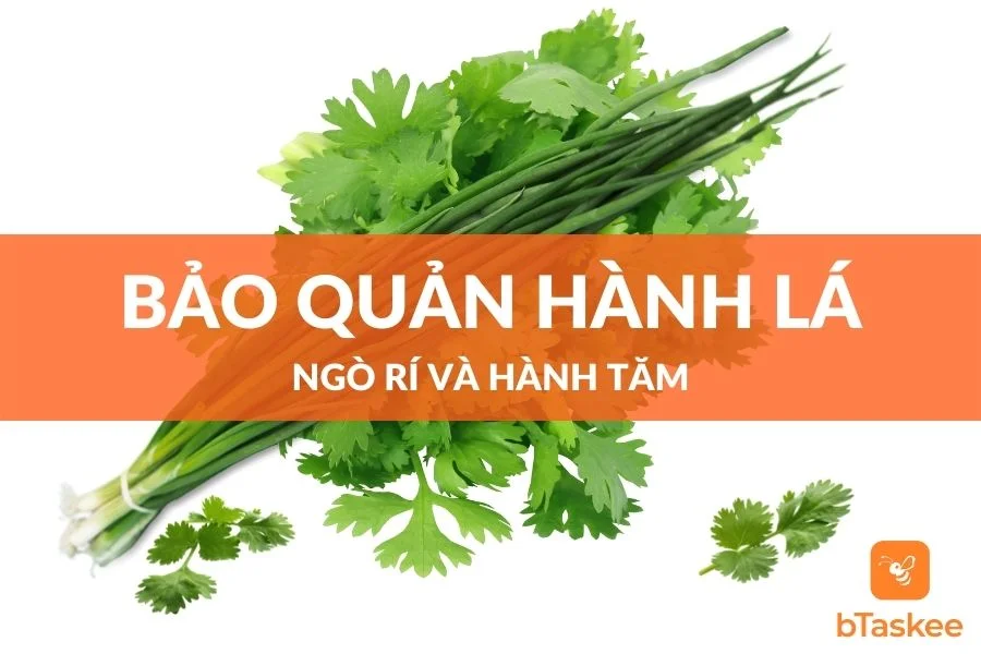 Cách Bảo Quản Hành Lá, Ngò Rí Và Hành Tăm Tươi Lâu