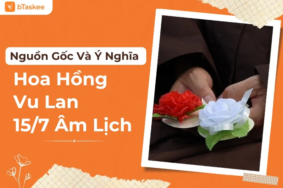 Hoa Hồng Vu Lan: Nguồn Gốc, Ý Nghĩa, Cách Chọn Hoa Và Cài Hoa