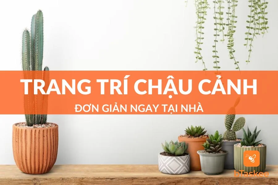 Top 10+ Cách Trang Trí Chậu Cảnh Đơn Giản Ngay Tại Nhà