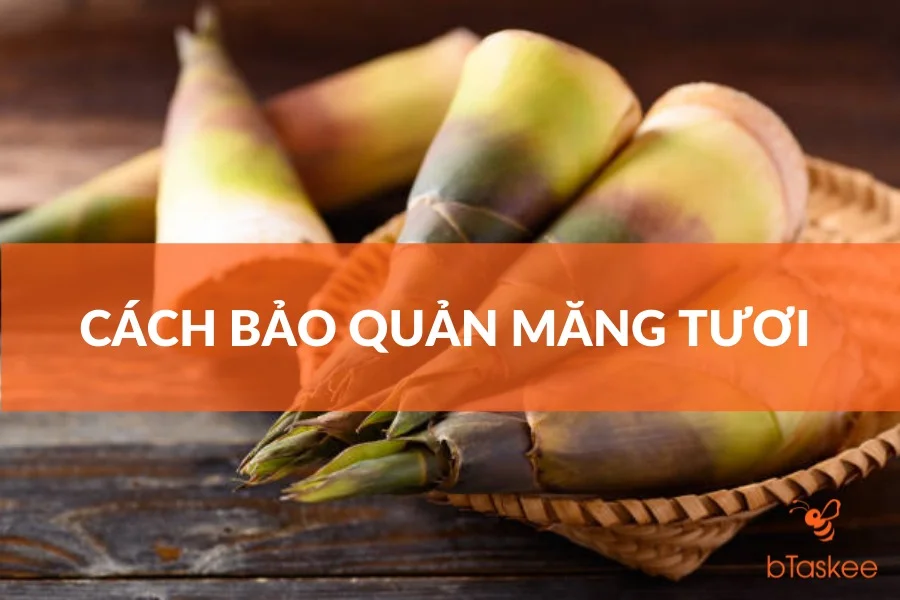 Cách Bảo Quản Măng Tươi Được Lâu Đúng Chuẩn