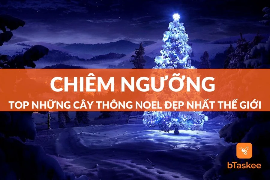 Cùng Chiêm Ngưỡng Top Những Cây Thông Noel Đẹp Nhất Thế Giới