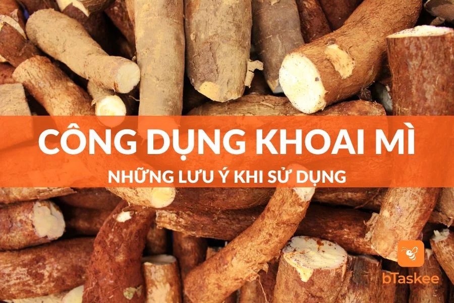Khoai Mì: Công Dụng Và Những Điều Cần Lưu Ý Khi Sử Dụng