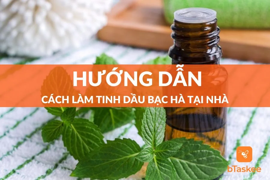 Cách Làm Tinh Dầu Bạc Hà Đơn Giản Ngay Tại Nhà
