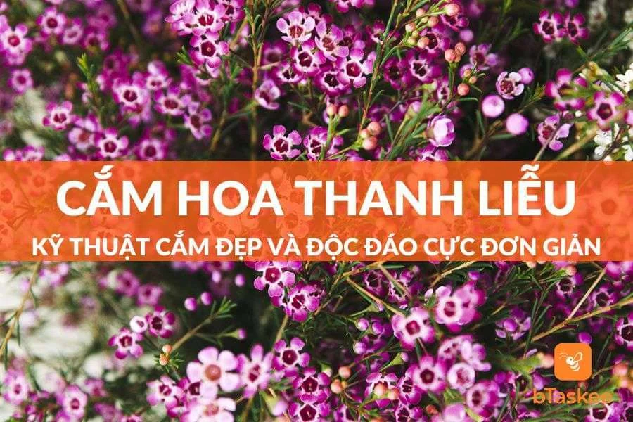 Cách Cắm Hoa Thanh Liễu Đẹp Và Độc Đáo Cực Đơn Giản