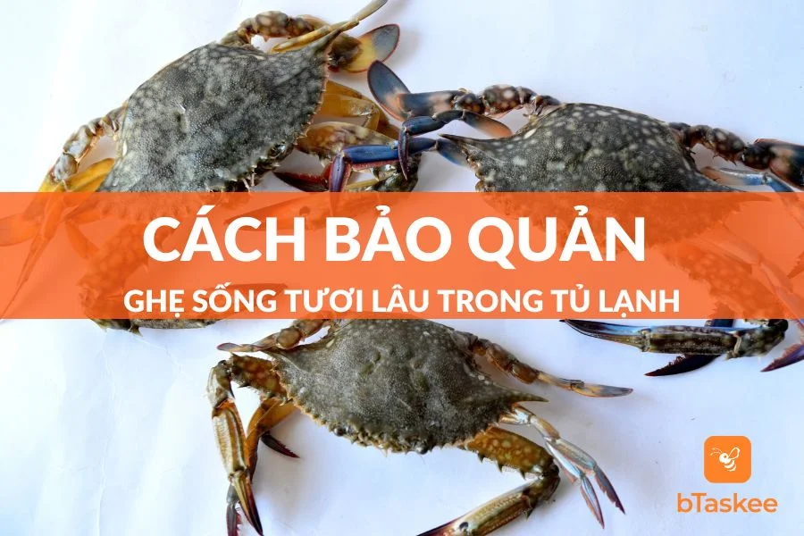 Chia Sẻ Cách Bảo Quản Ghẹ Sống Tươi Lâu Trong Tủ Lạnh