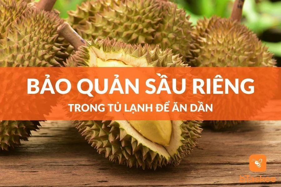 Cách Bảo Quản Sầu Riêng Trong Tủ Lạnh Để Ăn Dần
