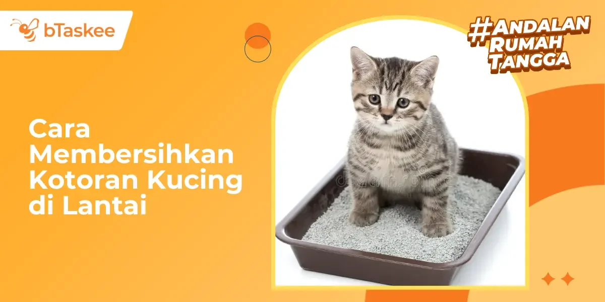 Cara Membersihkan Kotoran Kucing di Lantai: Cepat &amp; Anti Bau