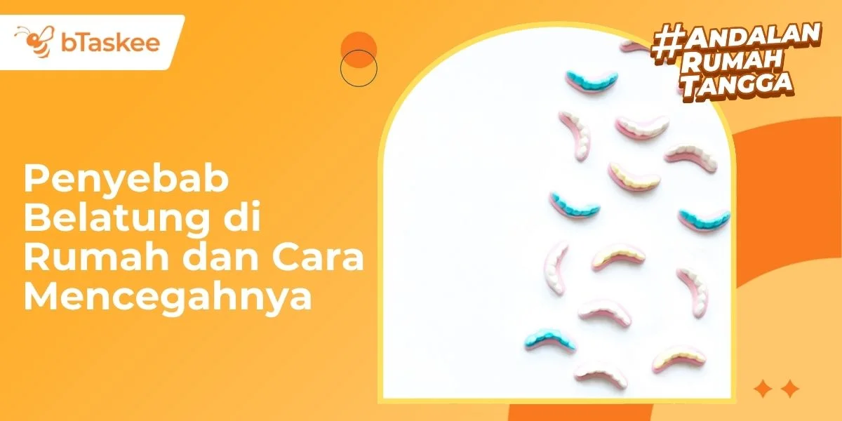 Penyebab Belatung di Rumah dan Cara Mencegahnya