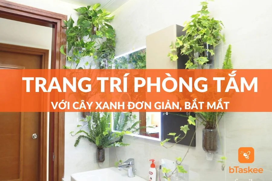 Trang Trí Phòng Tắm Với Cây Xanh Đơn Giản, Khử Mùi Hiệu Quả