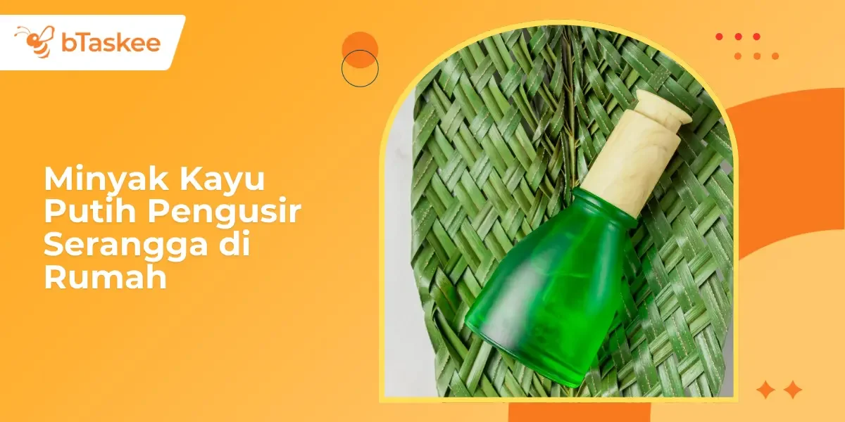Minyak Kayu Putih Pengusir Serangga di Rumah