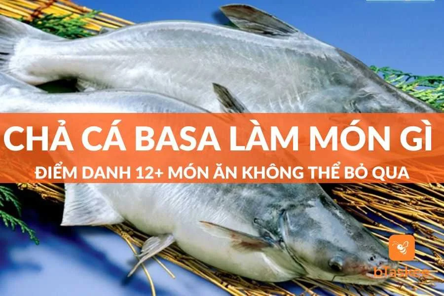 Chả Cá Basa Làm Món Gì Ngon? Top 12+ Món Ngon Hấp Dẫn