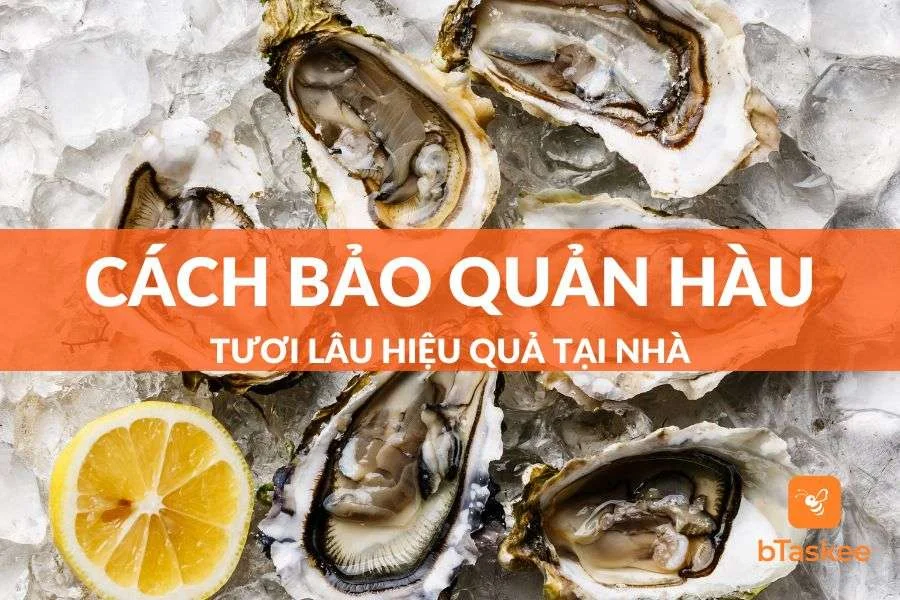 Cách Bảo Quản Hàu Sống Tươi Lâu Đơn Giản Tại Nhà