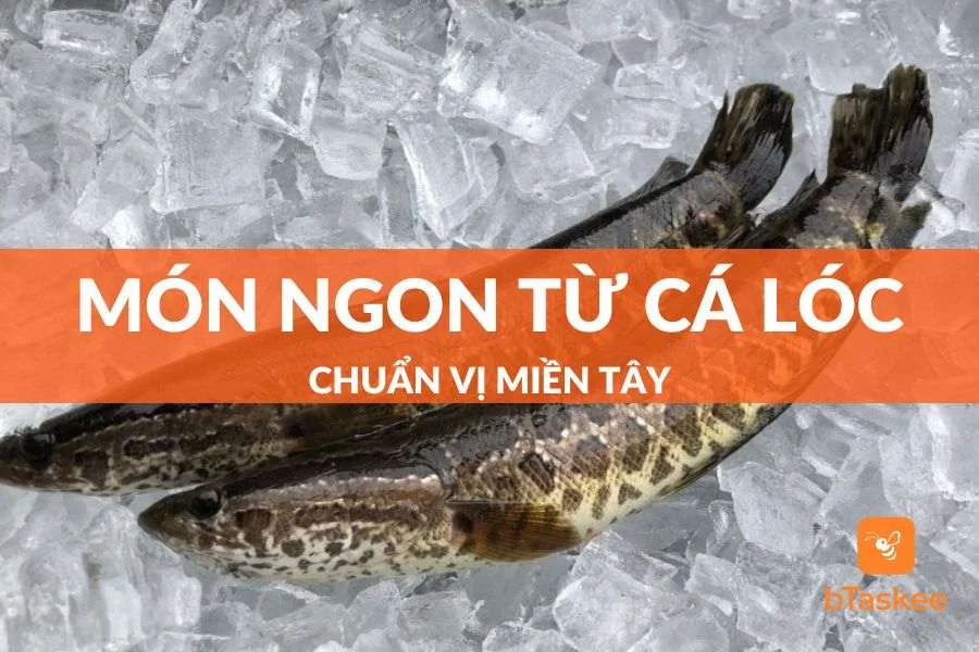 Bỏ Túi Danh Sách 8+ Món Ngon Từ Cá Lóc Chuẩn Vị Miền Tây