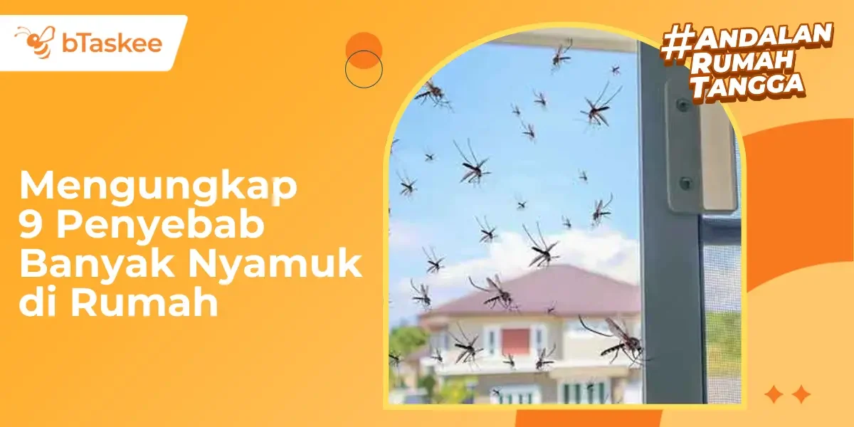 Mengungkap 9 Penyebab Banyak Nyamuk di Rumah