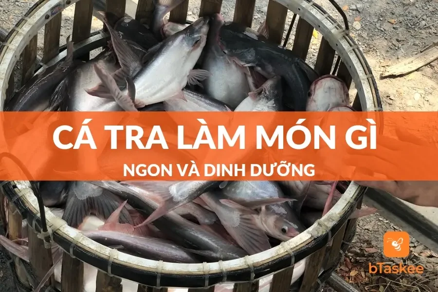 Cá Tra Làm Món Gì Ngon? Món Ngon Độc Đáo Chế Biến Từ Cá Tra
