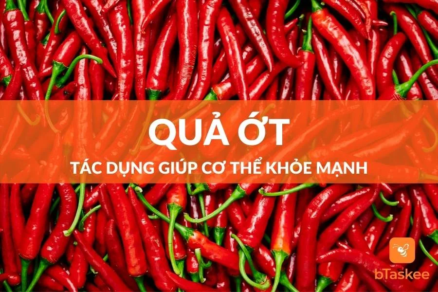 Quả Ớt: Tác Dụng Bất Ngờ Giúp Cơ Thể Khỏe Mạnh