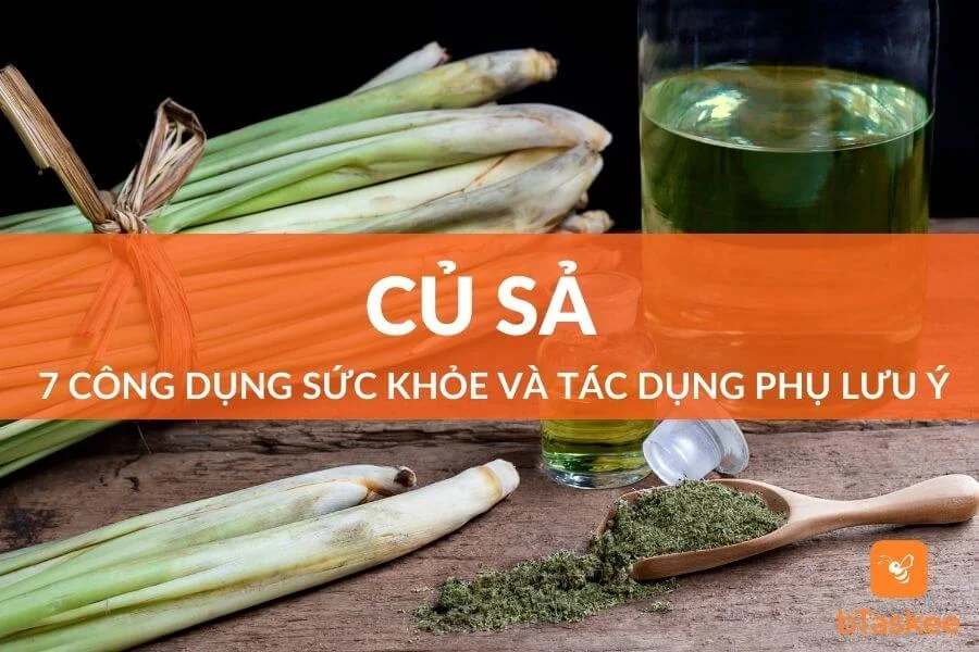 Cây Sả: 7 Công Dụng Sức Khỏe Và Tác Dụng Phụ Cần Lưu Ý