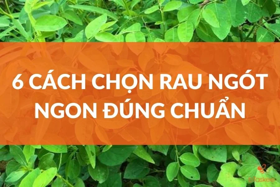6 Cách Chọn Rau Ngót Ngon, Không Hóa Chất Đúng Chuẩn