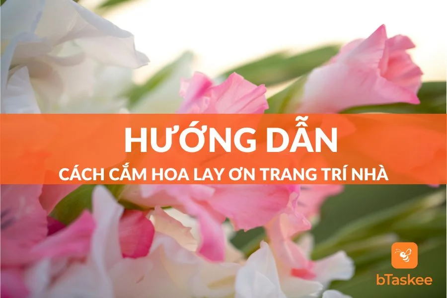 Tổng Hợp 10+ Cách Cắm Hoa Lay Ơn Đẹp Nhất Hiện Nay 2023