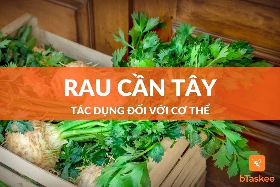 Rau Cần Tây Có Tác Dụng Gì Đối Với Cơ Thể?