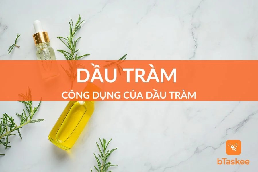 Mách Bạn 8 Công Dụng Của Dầu Tràm Tốt Nhất