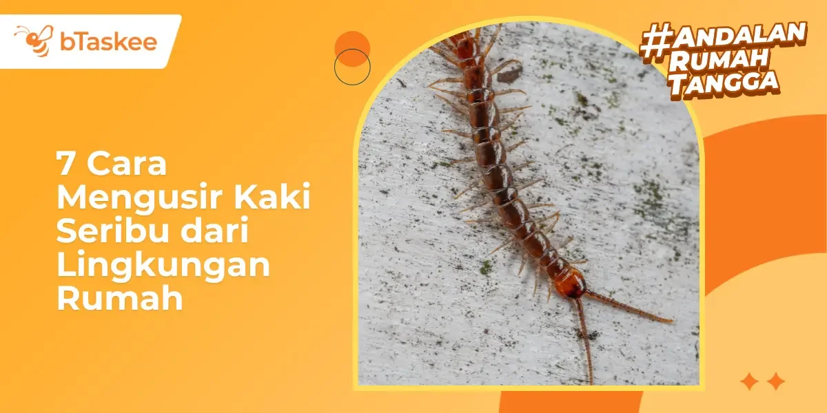 7 Cara Mengusir Kaki Seribu dari Lingkungan Rumah
