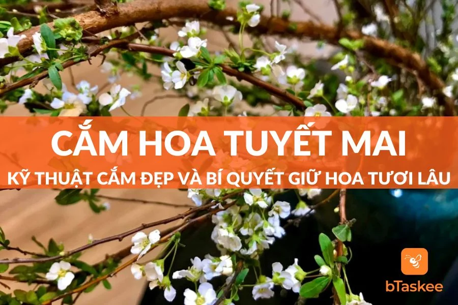 Cách Cắm Hoa Tuyết Mai Đẹp Mắt, Rực Rỡ Góc Nhà