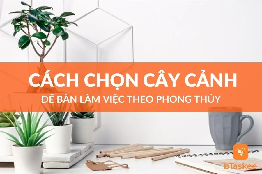 Cách Chọn Cây Cảnh Để Bàn Làm Việc Theo Phong Thủy