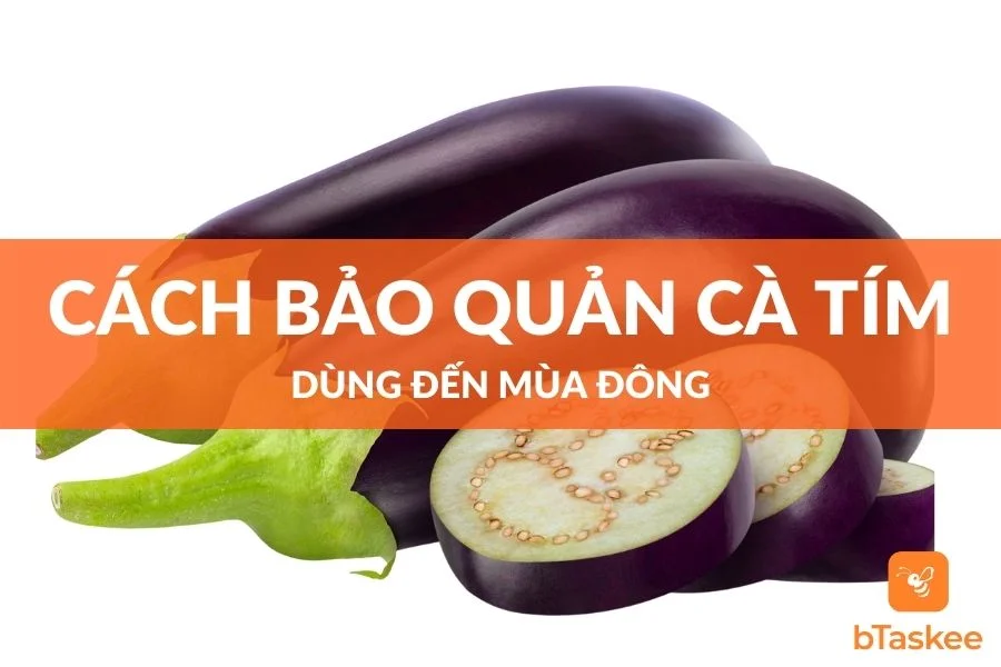 Cách Bảo Quản Cà Tím Tại Nhà Dùng Đến Mùa Đông